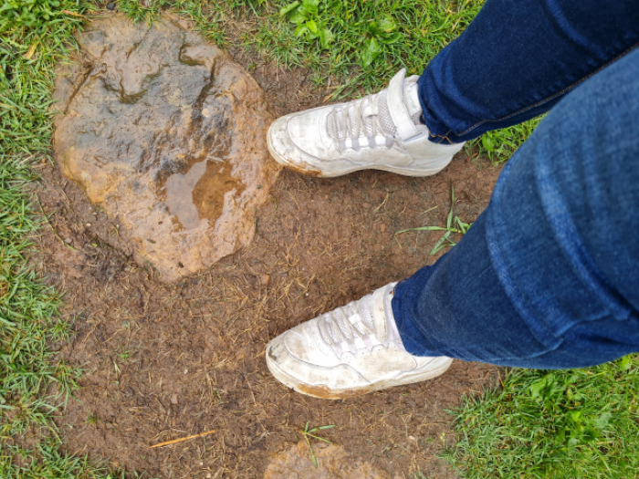 Sneakers, Socks and Boots